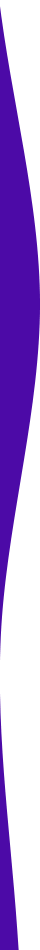 https://breadomelette.in/wp-content/uploads/2021/03/purple-detail-left-1.png